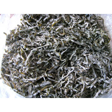 Sol Secas Cut alga marinha (algas marinhas, kombu, Laminaria)